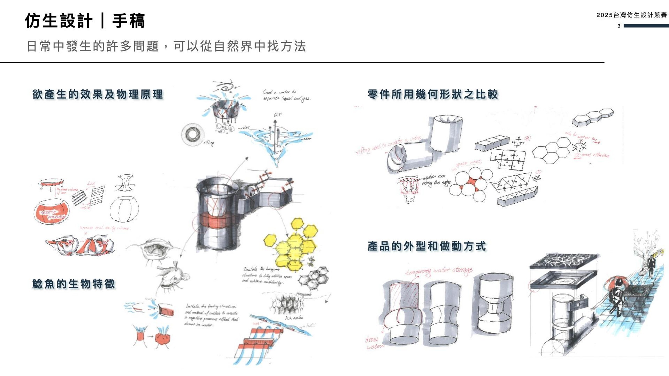 梅雨鋒面來襲，台灣高中生從大自然找到城市防洪靈感